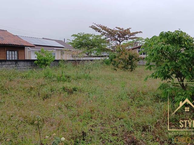 Terreno para Venda em Palhoça - 4