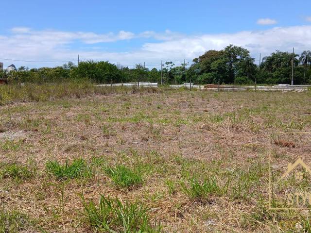 #1264 - Terreno para Venda em São José - SC - 3