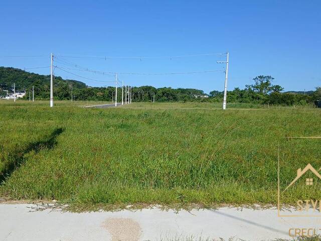 #1281 - Terreno para Venda em São José - SC - 1
