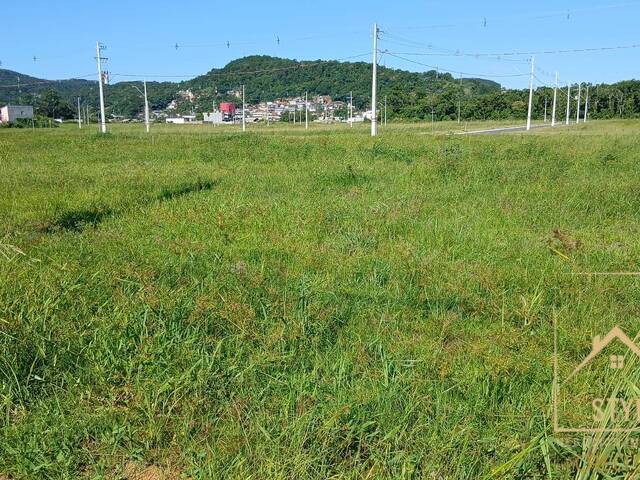 #1281 - Terreno para Venda em São José - SC - 3
