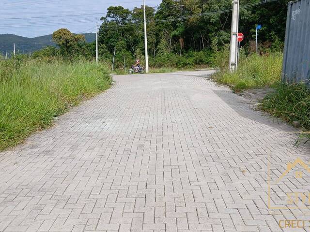 Terreno para Venda em São José - 5