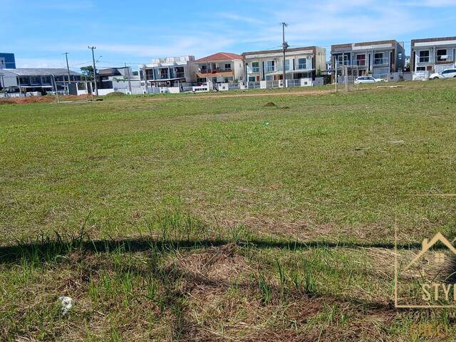 Terreno para Venda em São José - 2