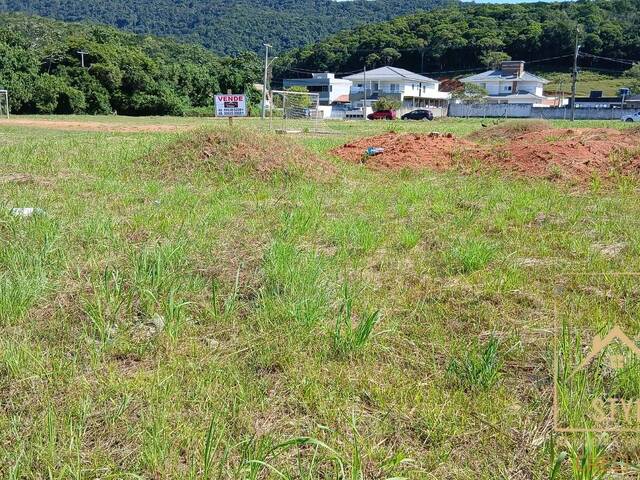 Terreno para Venda em São José - 2