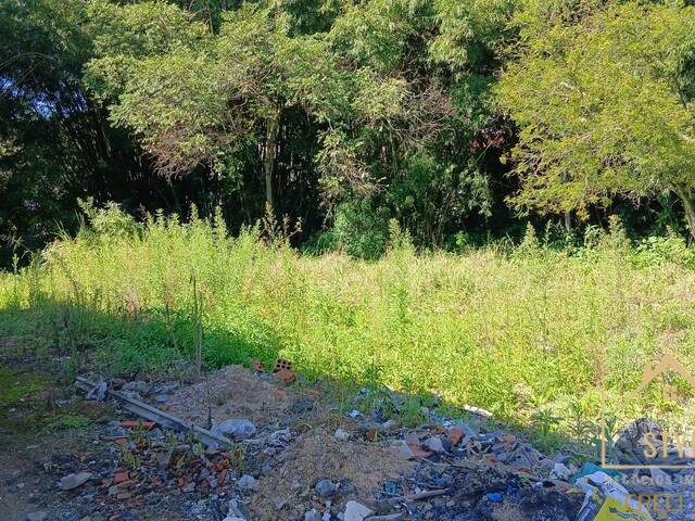 #1419 - Terreno para Venda em São José - SC - 1