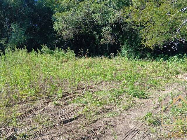#1419 - Terreno para Venda em São José - SC - 2
