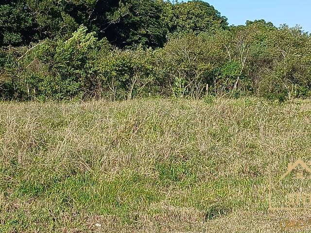 #1422 - Terreno para Venda em São José - SC - 2