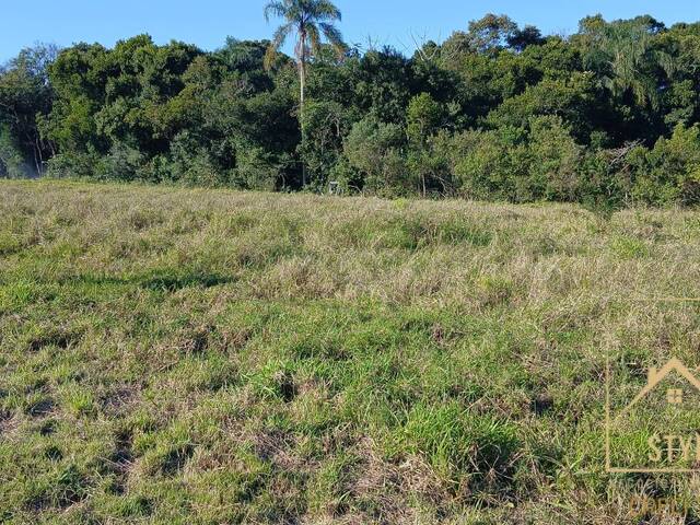 #1422 - Terreno para Venda em São José - SC - 3