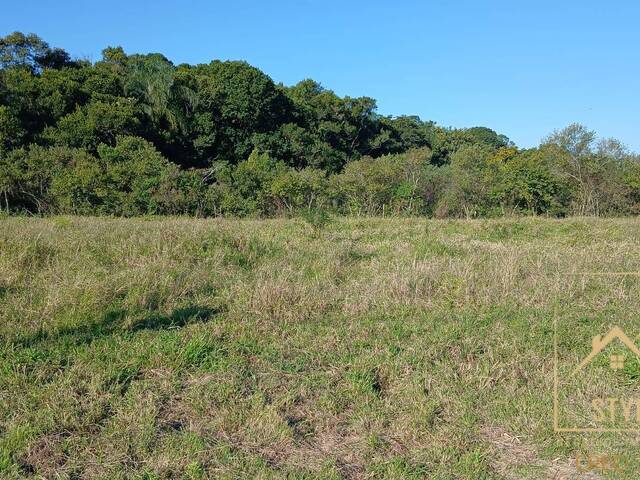 #1422 - Terreno para Venda em São José - SC - 1