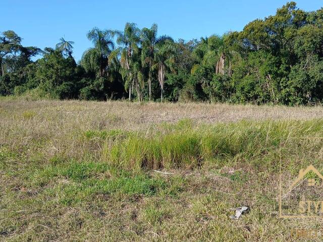#1423 - Terreno para Venda em São José - SC - 3