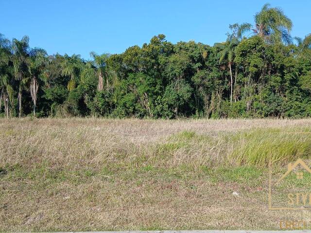 #1423 - Terreno para Venda em São José - SC - 1