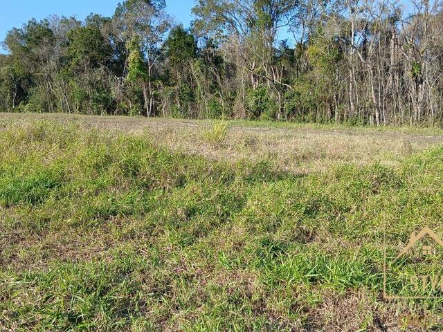 #1424 - Terreno para Venda em São José - SC - 1