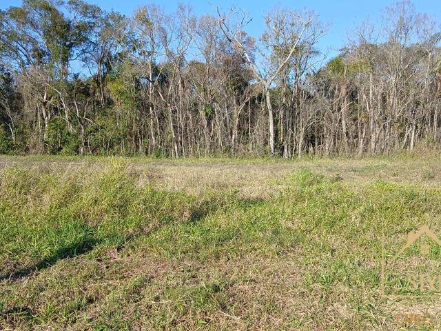 #1427 - Terreno para Venda em São José - SC - 1
