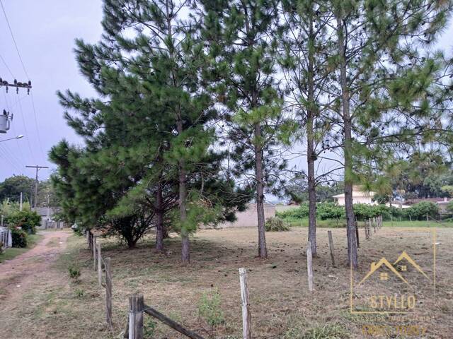 #1439 - Terreno para Venda em Imbituba - SC - 3