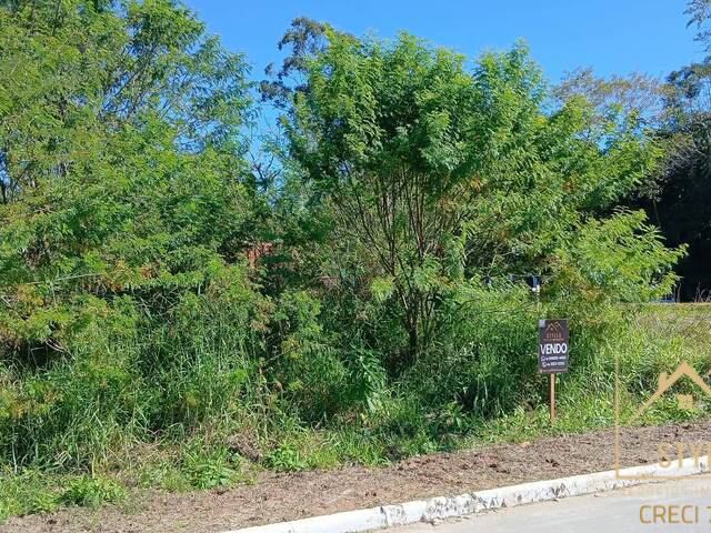 #1464 - Terreno para Venda em São José - SC - 2