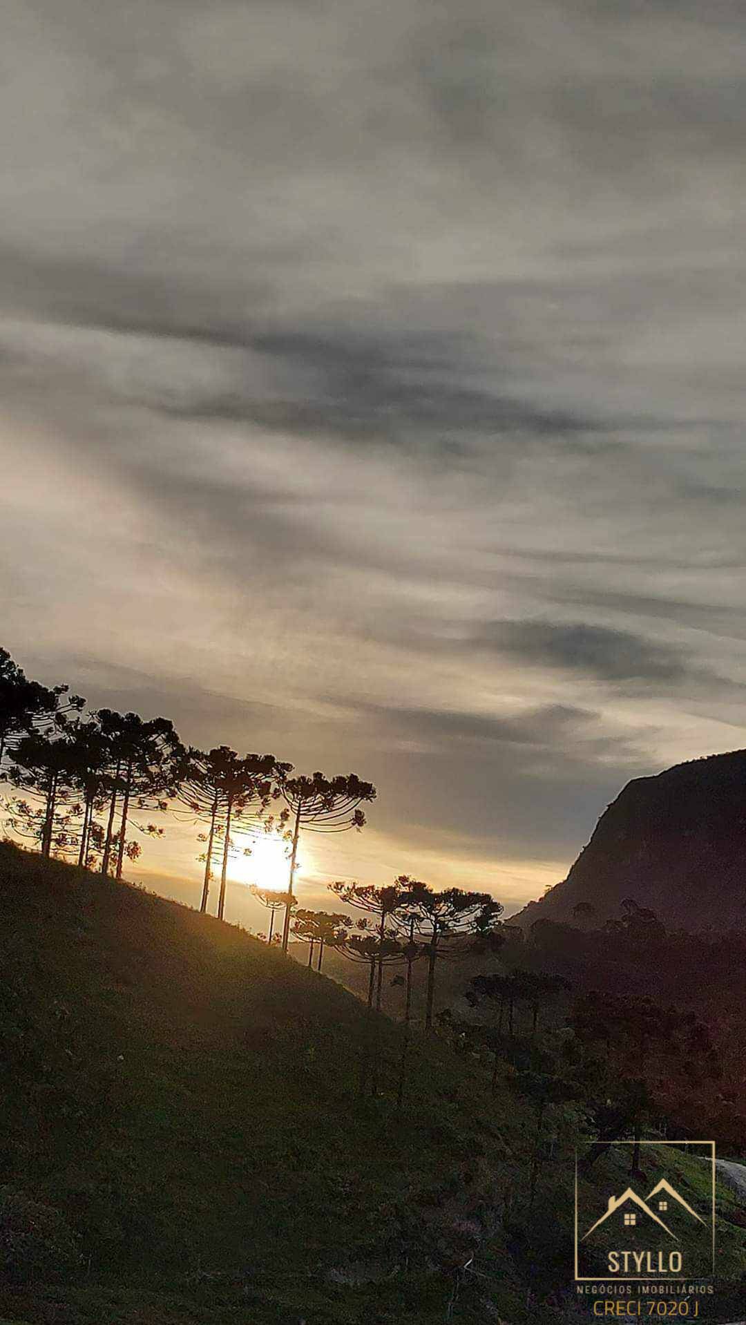 Sítio, 3 quartos, 12 hectares - Foto 18