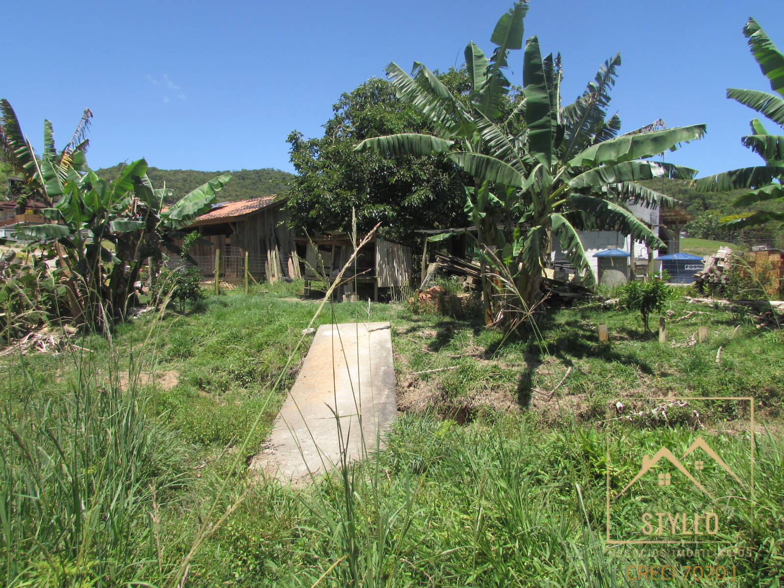 Chácara, 3 quartos, 6 hectares - Foto 43