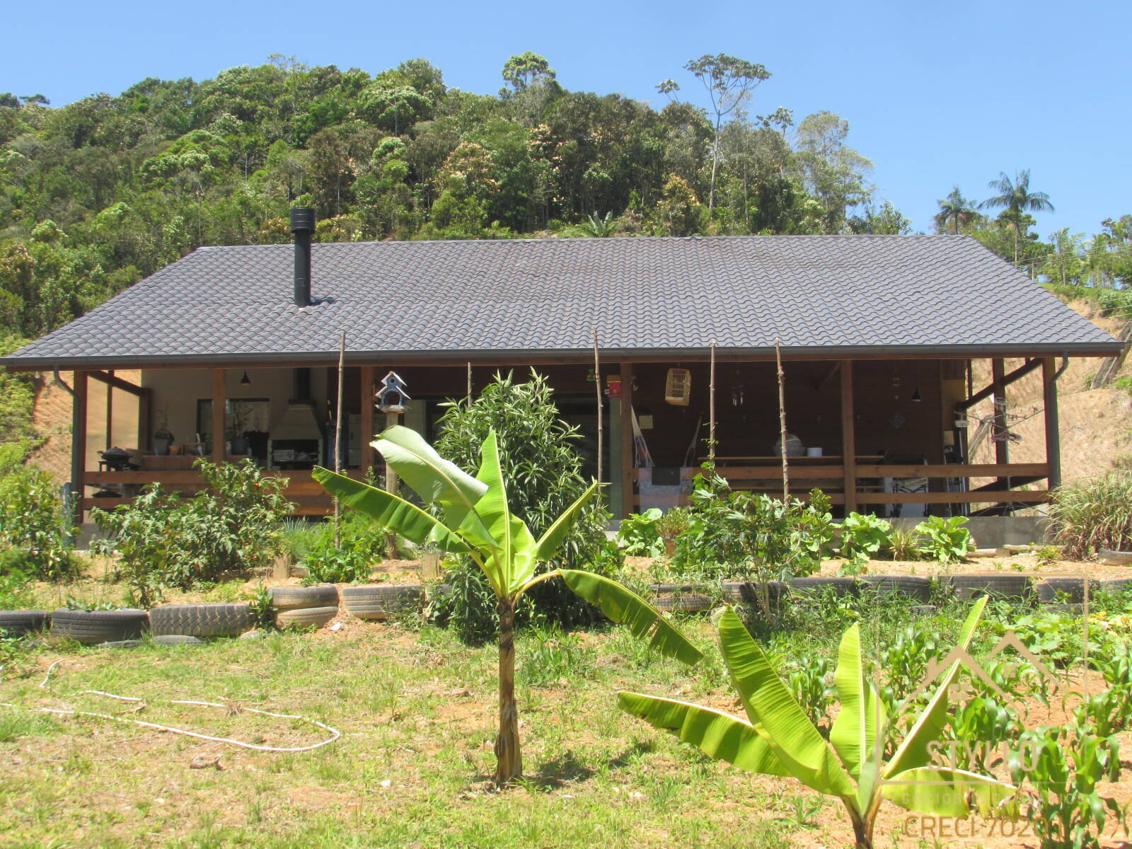 Chácara, 3 quartos, 6 hectares - Foto 9