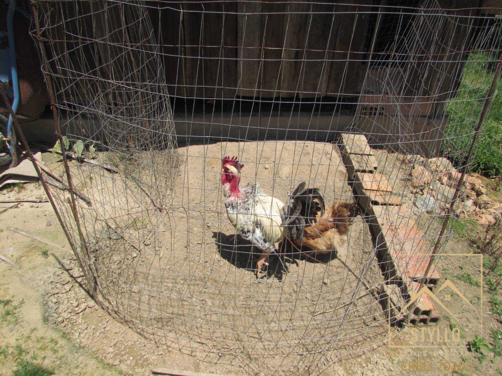 Chácara, 3 quartos, 6 hectares - Foto 48