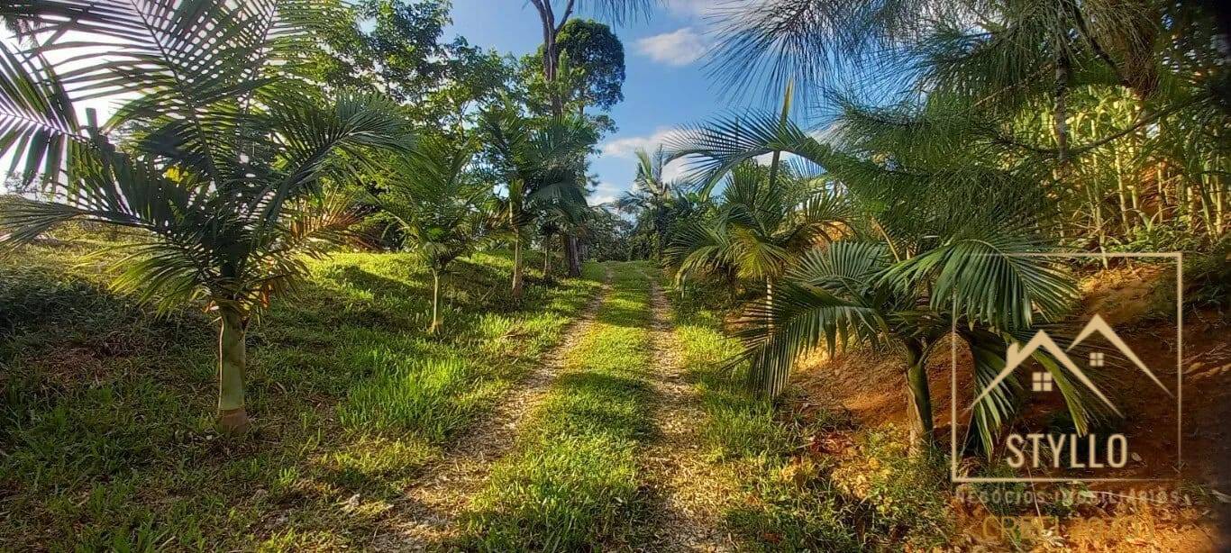 Terreno, 2 hectares - Foto 22