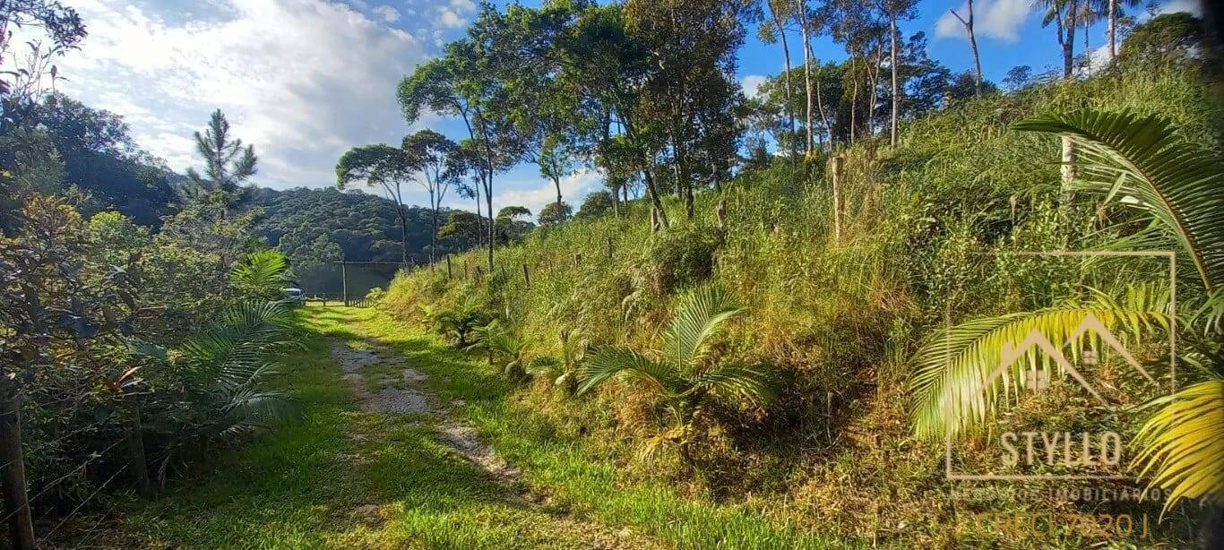 Terreno, 2 hectares - Foto 26