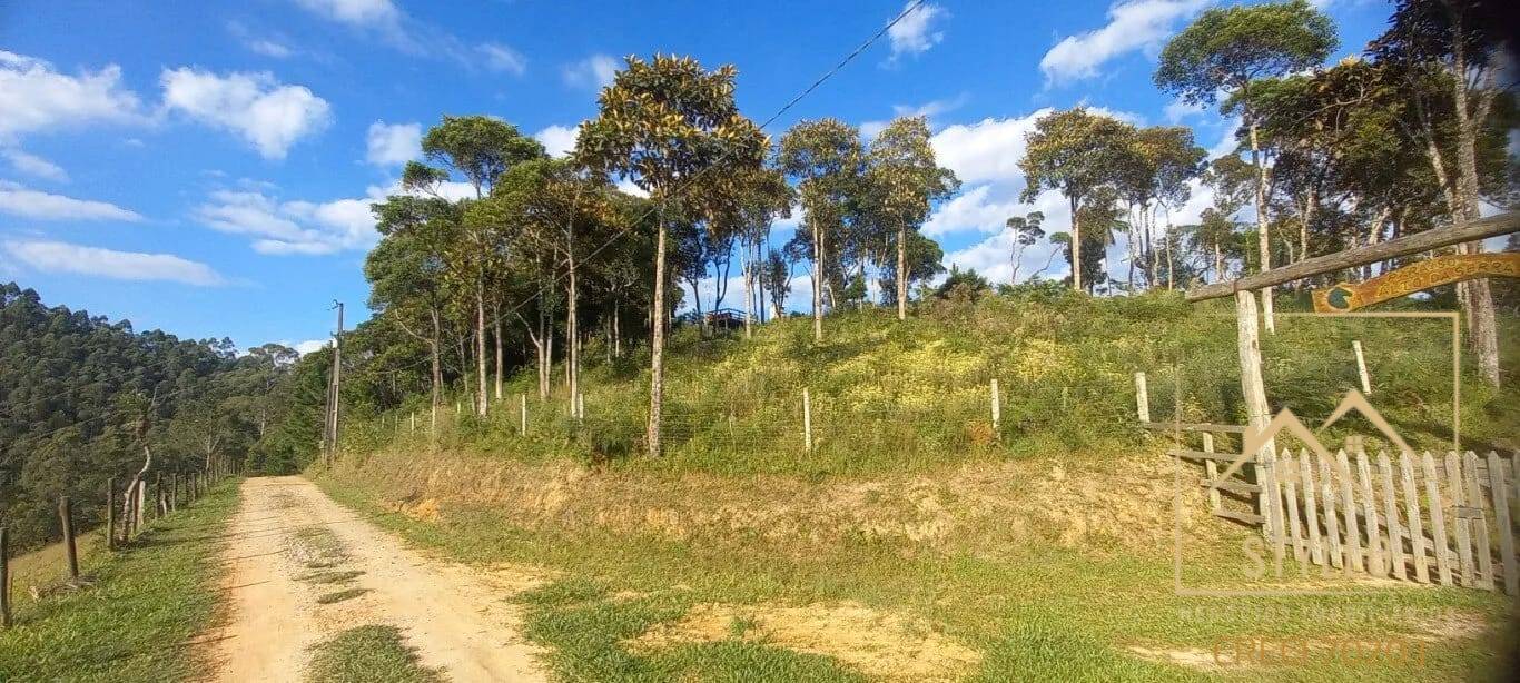 Terreno, 2 hectares - Foto 25