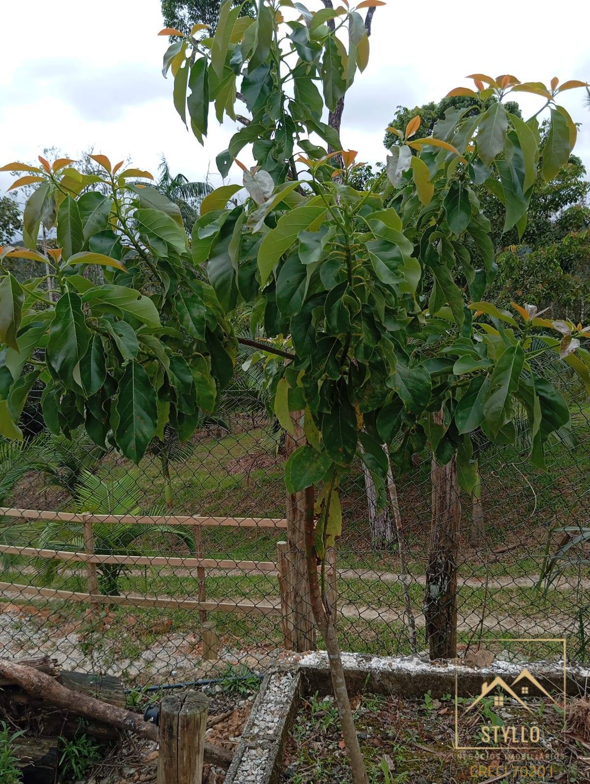 Terreno, 2 hectares - Foto 28