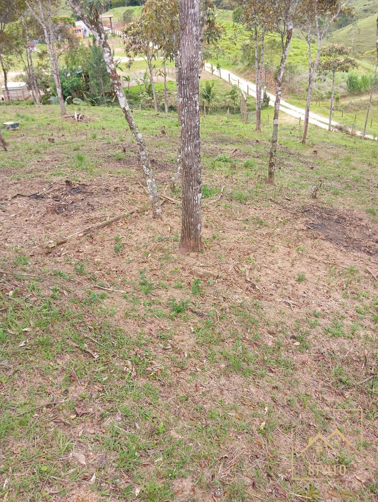 Terreno, 2 hectares - Foto 30