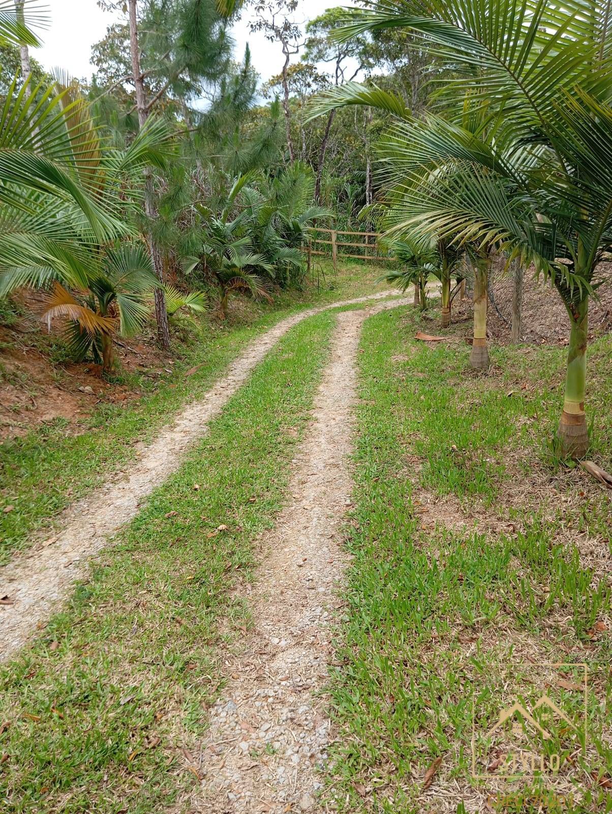 Terreno, 2 hectares - Foto 24