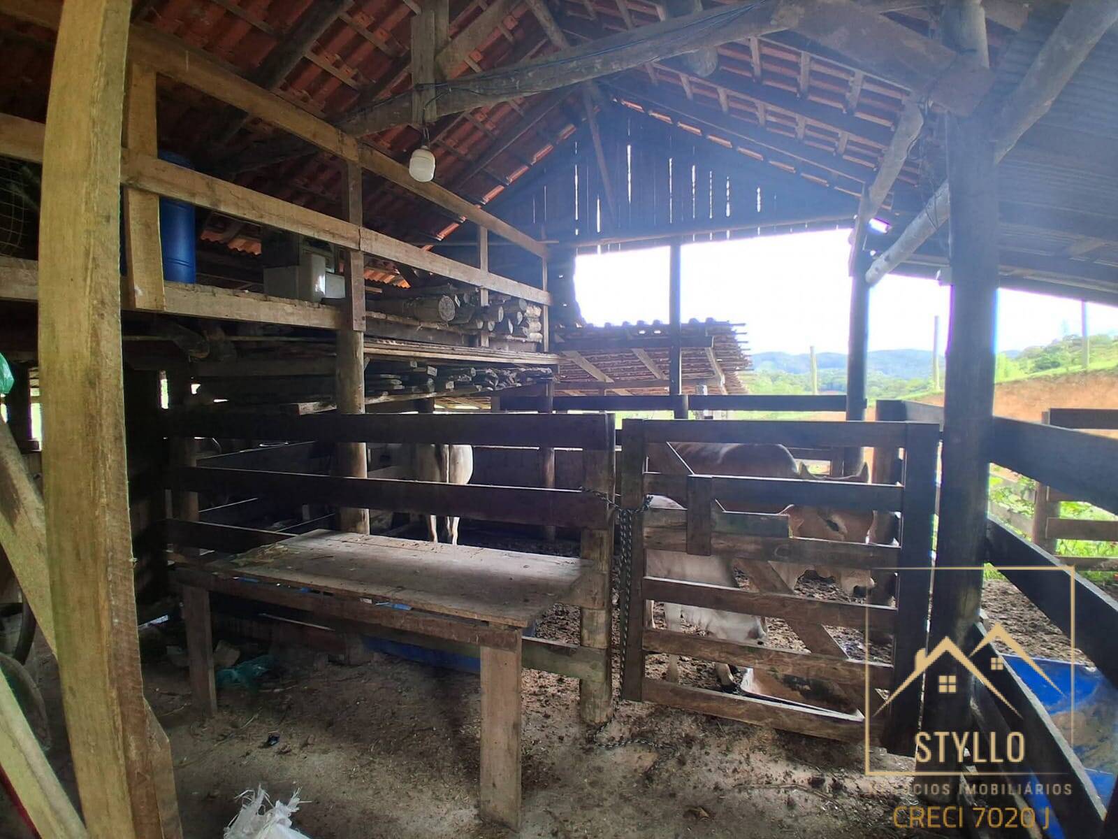 Sítio, 4 quartos, 20 hectares - Foto 28