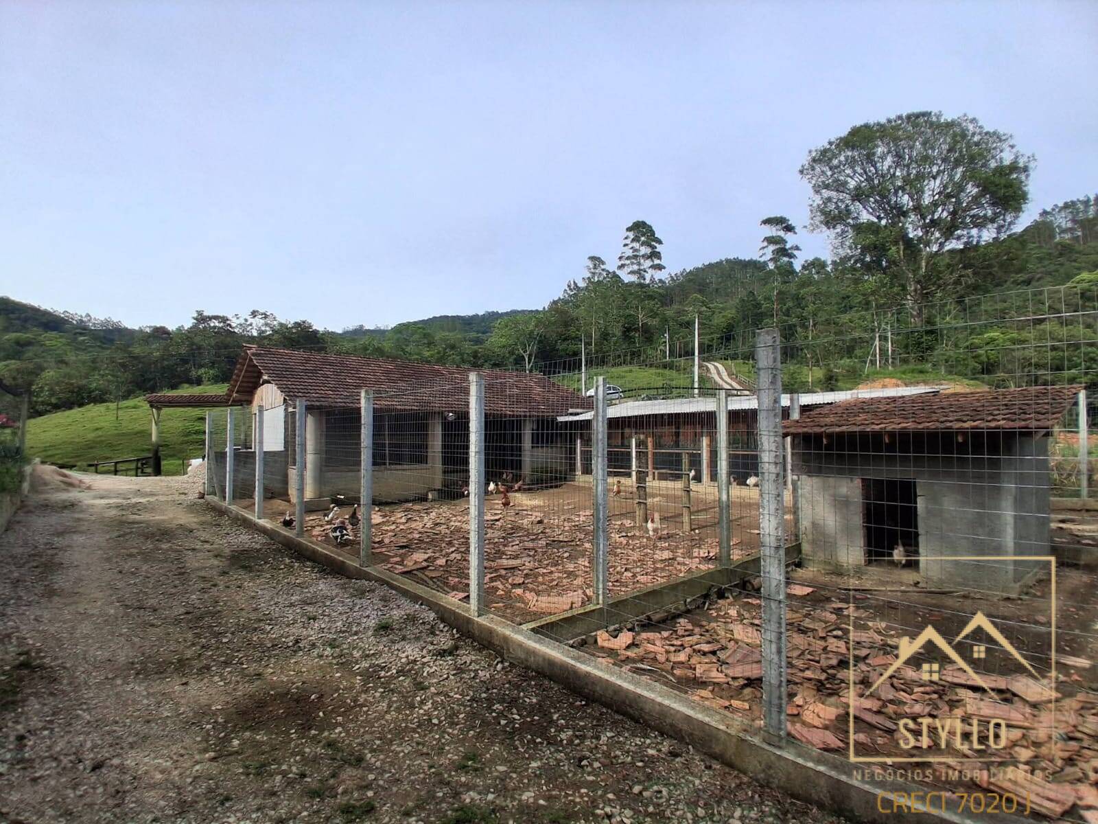 Sítio, 4 quartos, 20 hectares - Foto 23