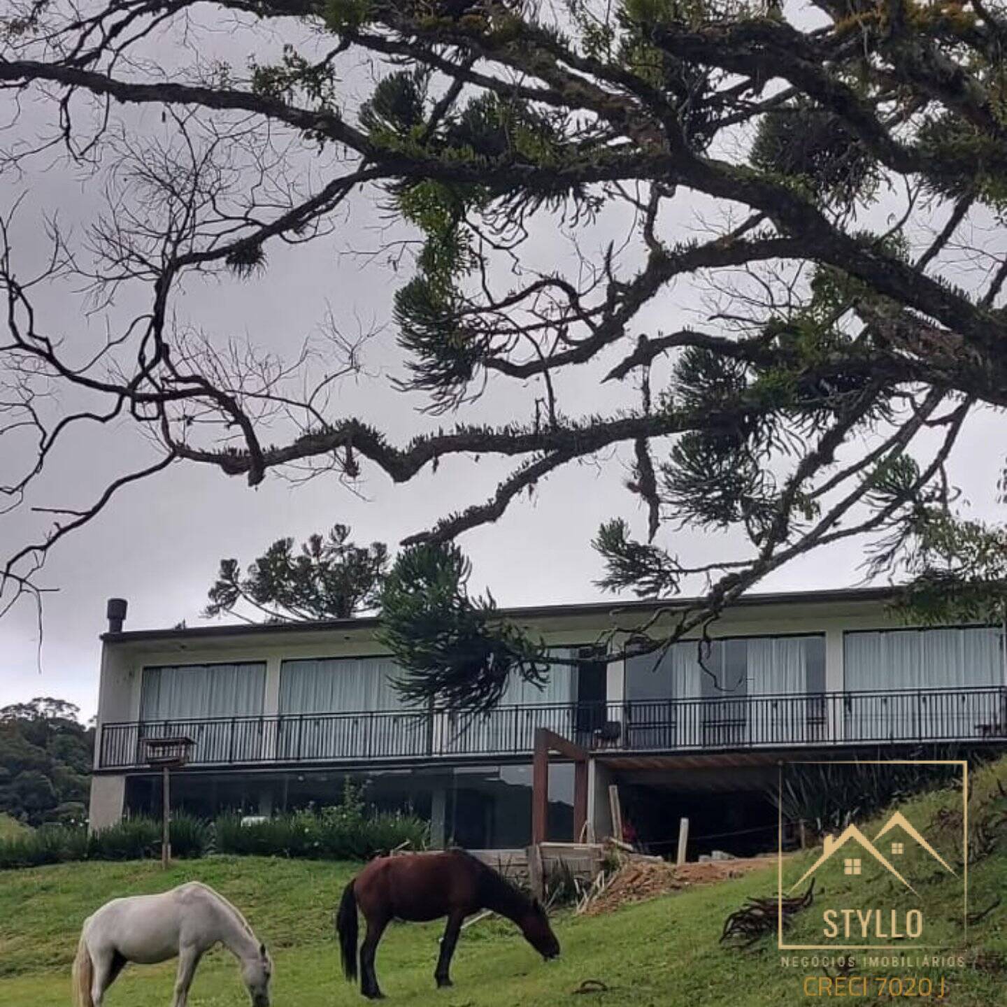 Sítio, 3 quartos, 12 hectares - Foto 2