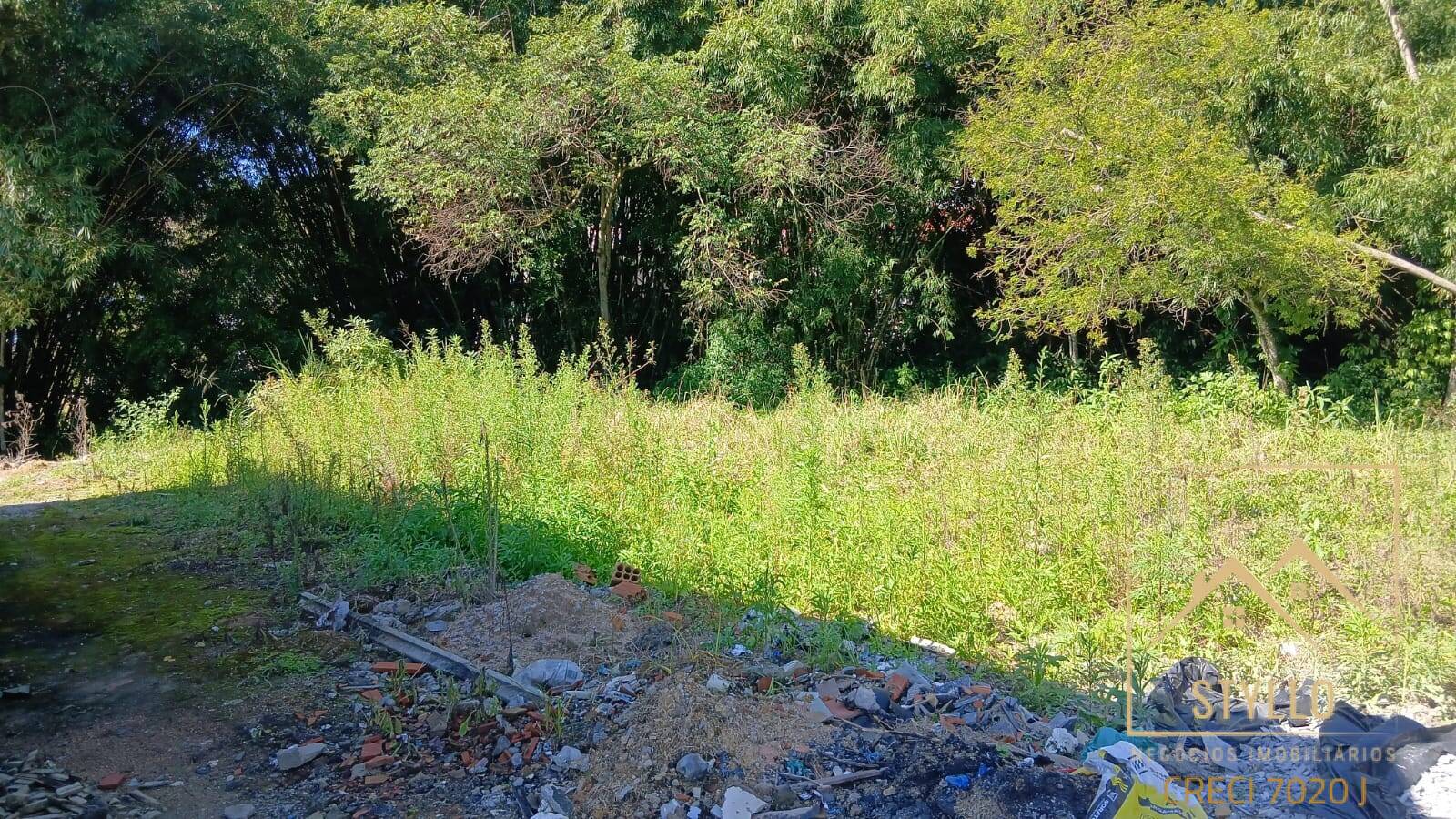 Terreno, 539 m² - Foto 1