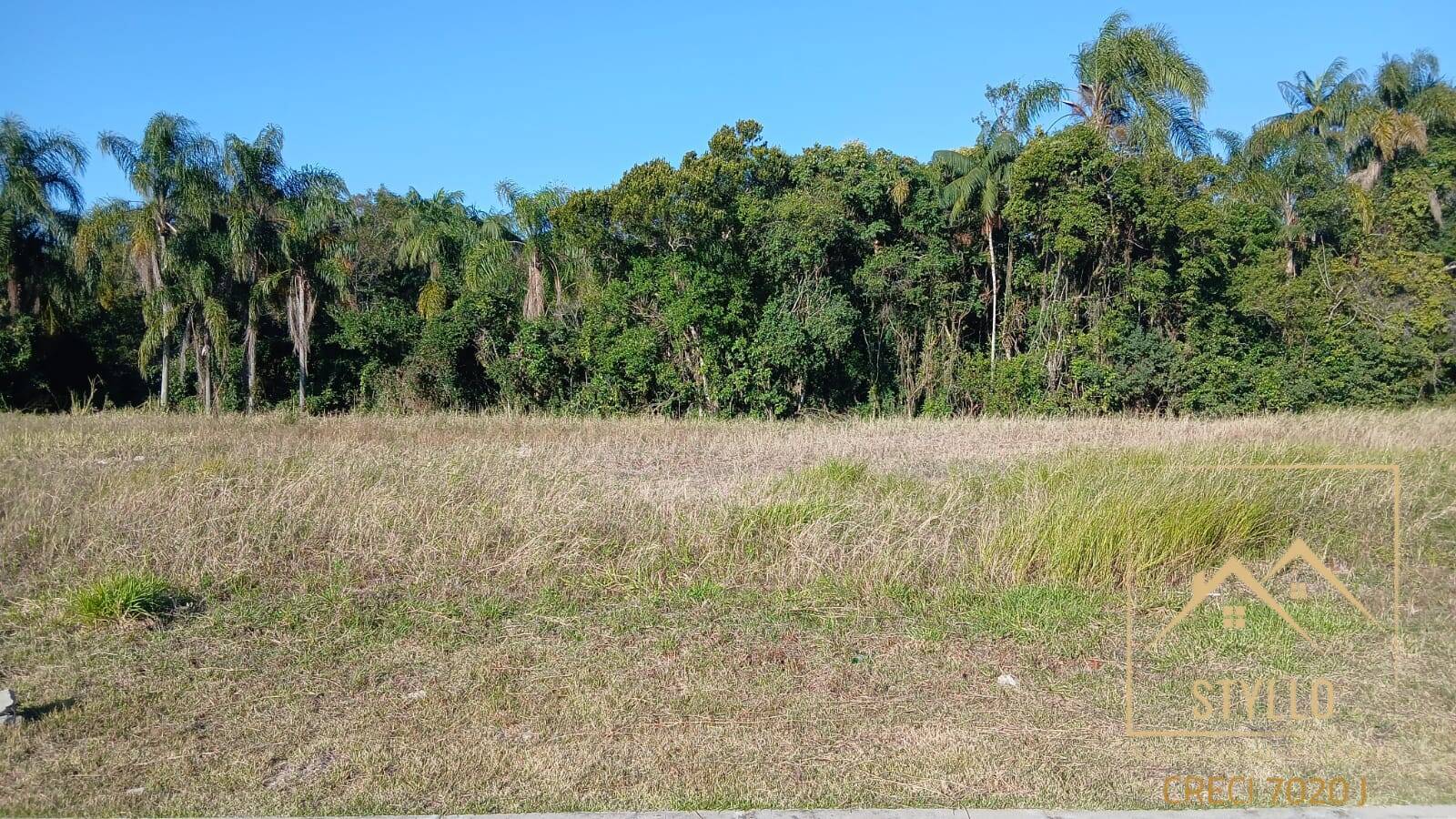 Terreno, 203 hectares - Foto 1