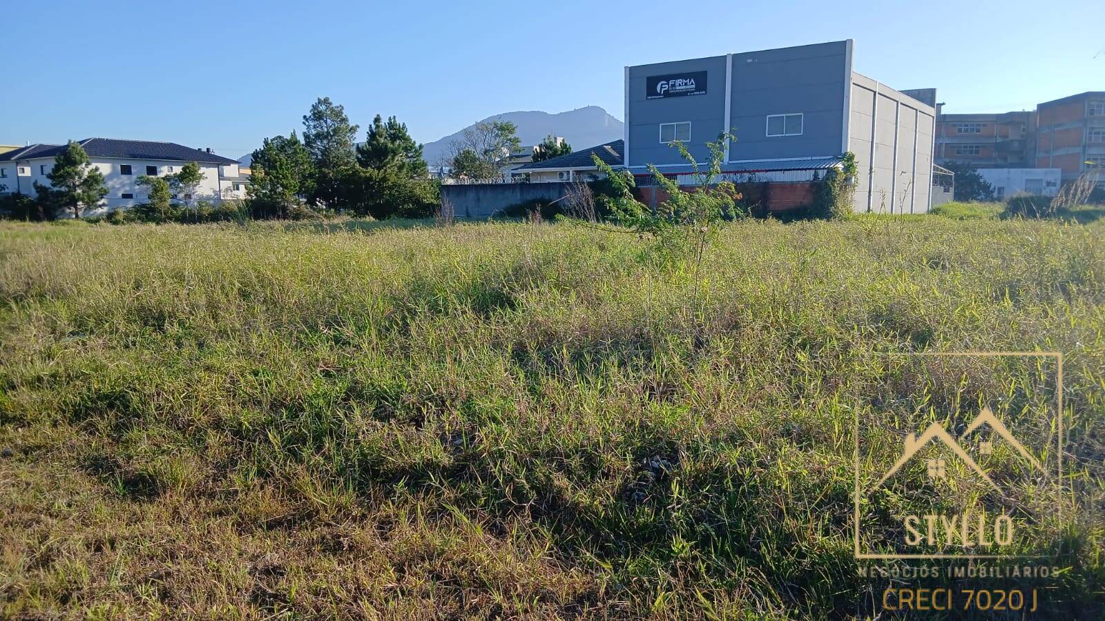 Terreno, 210 hectares - Foto 3