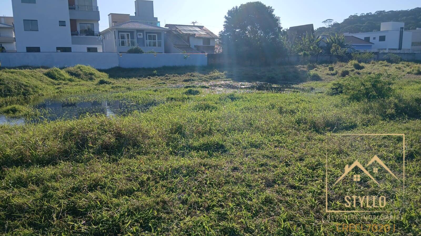 Terreno, 157 hectares - Foto 3