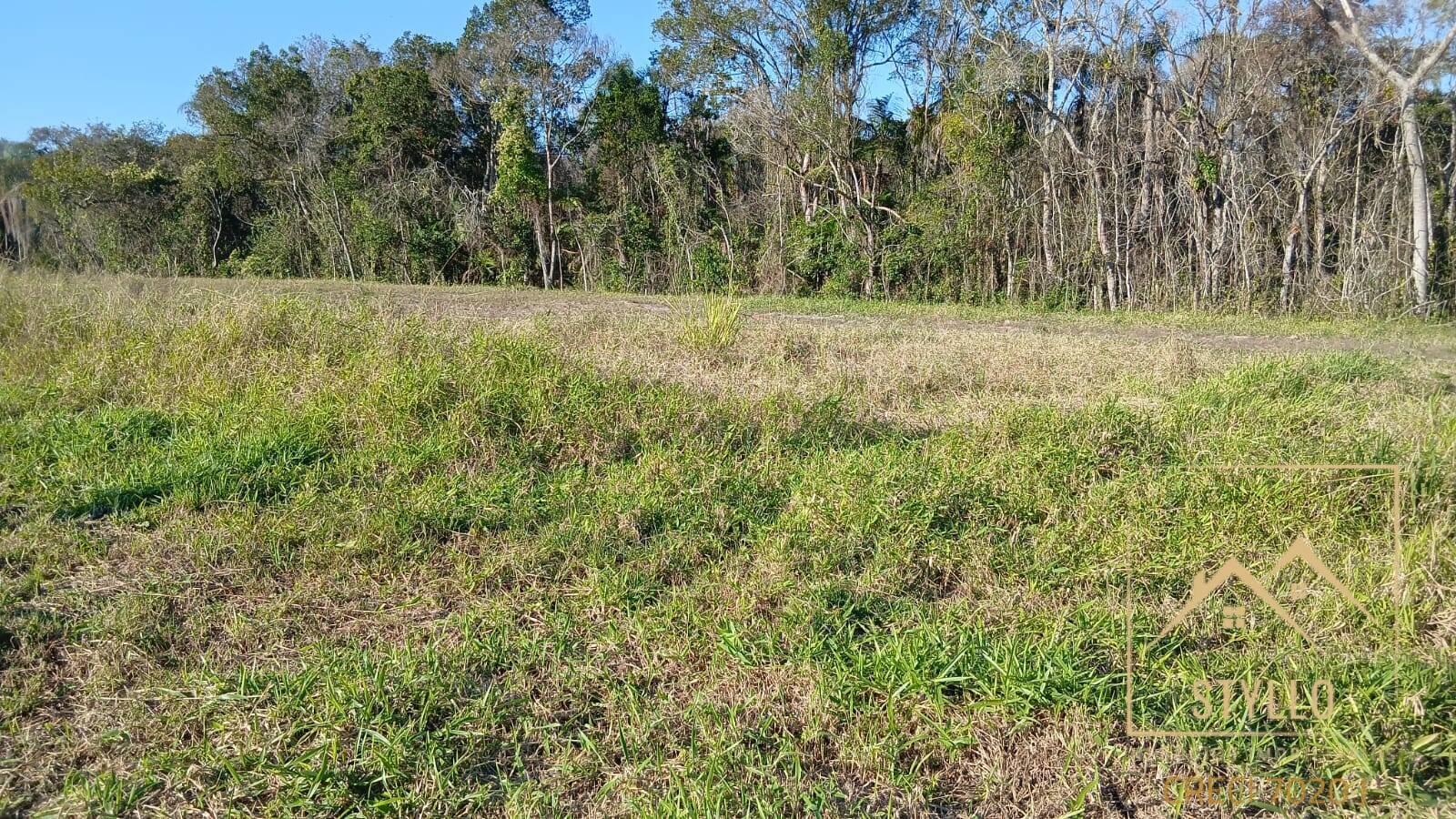 Terreno, 210 hectares - Foto 2