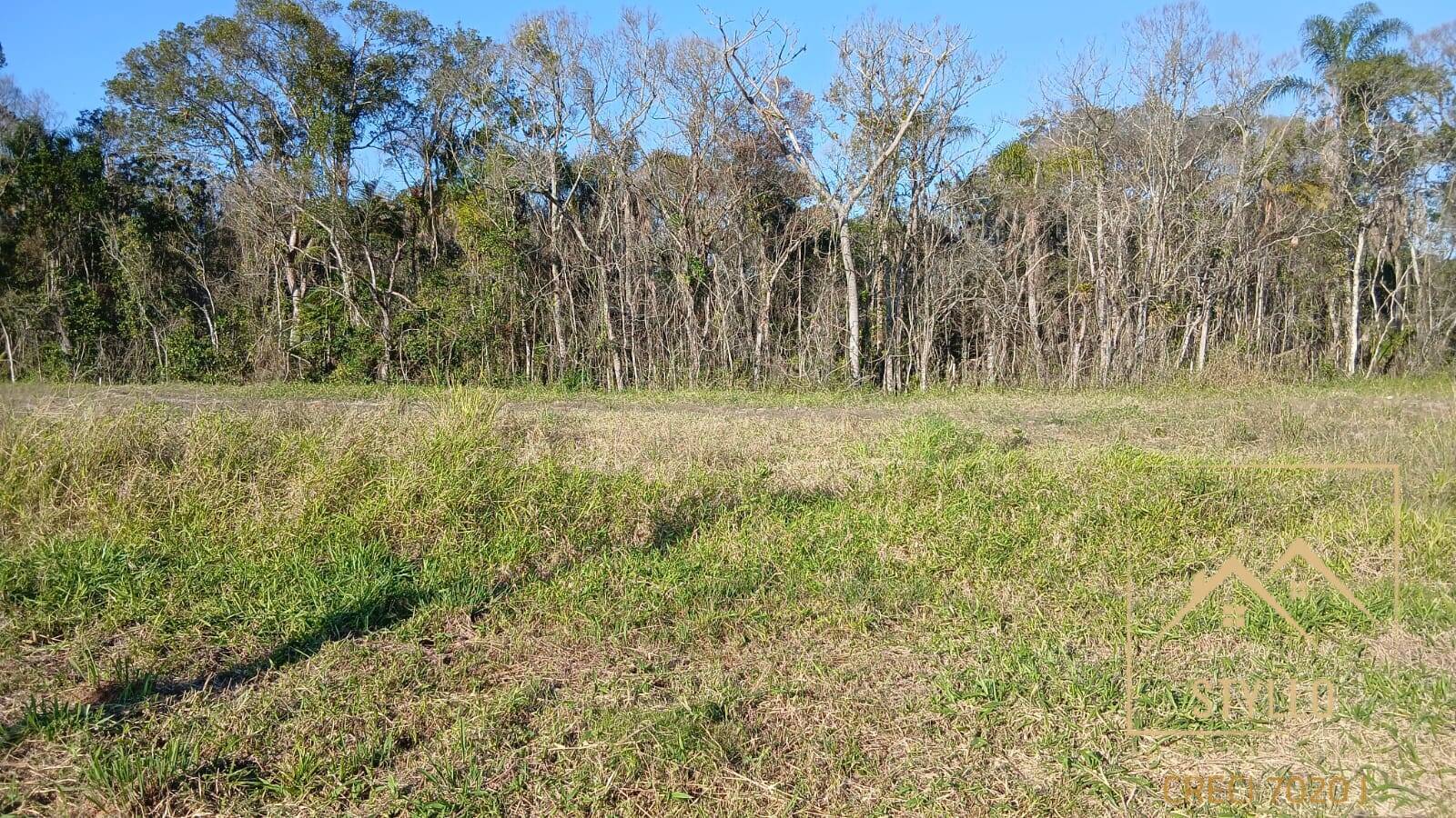 Terreno, 210 hectares - Foto 1